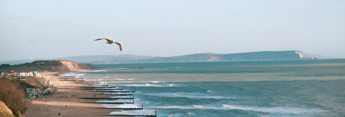 Nissa Neves Photography