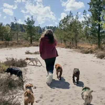 Emilie's Promenades logo