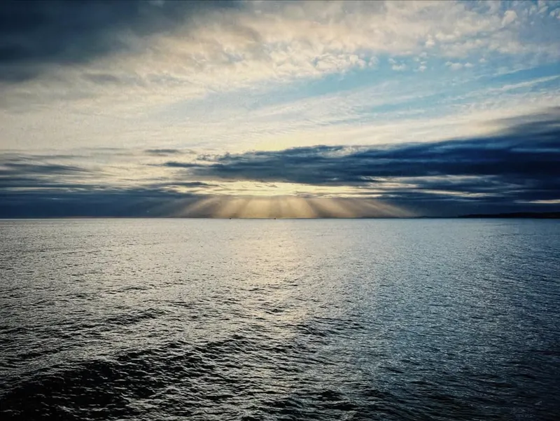 Nissa Neves Photography photo 2