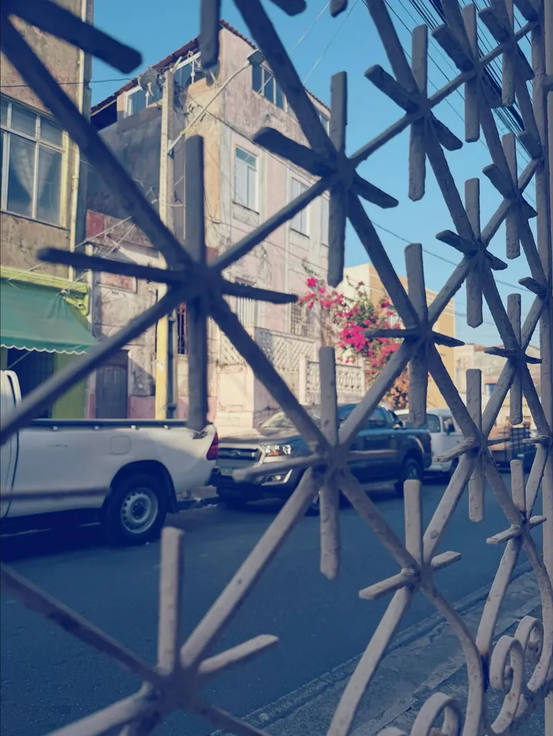 Nissa Neves Photography photo 1